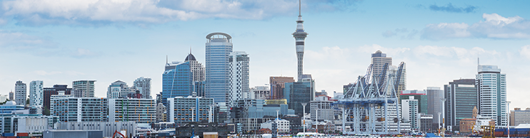 auckland flights